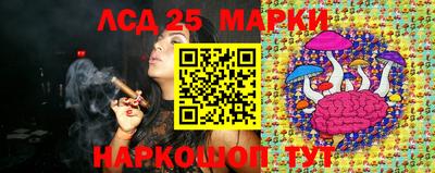 apvp Моздок