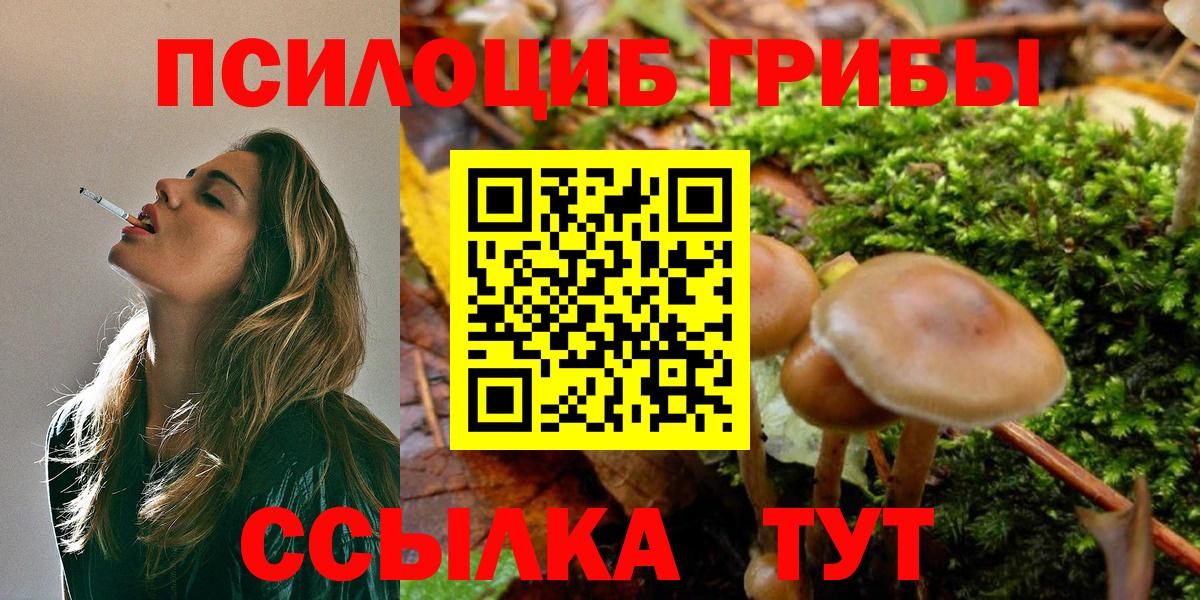 ГАШ Топки